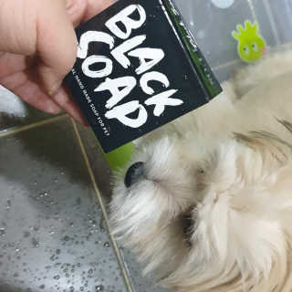 오즈맘님이 올린 리뷰 사진 1