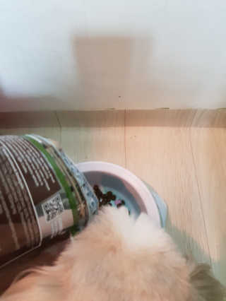 신은채님이 올린 리뷰 사진 2