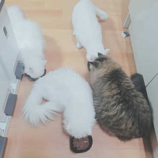 Isabelle Lee님이 올린 리뷰 사진 3