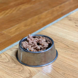 [펫토리아] BEST 한캔뚝딱 강아지 캔간식 — 2.5점을 준 리뷰어가 2019년 3월 올린 사용 사진