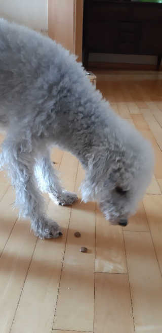 하루콩콩님이 올린 리뷰 사진 3