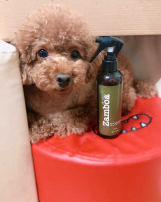 양동이님이 올린 리뷰 사진 2