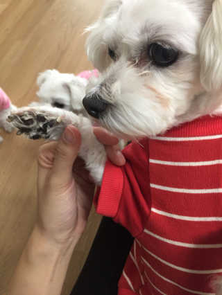 JiwooPark님이 올린 리뷰 사진 2
