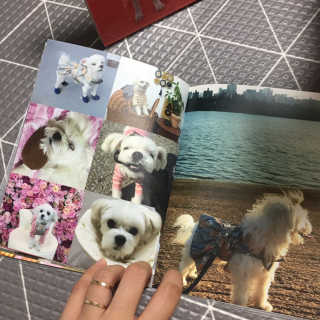 당근님이 올린 리뷰 사진 2