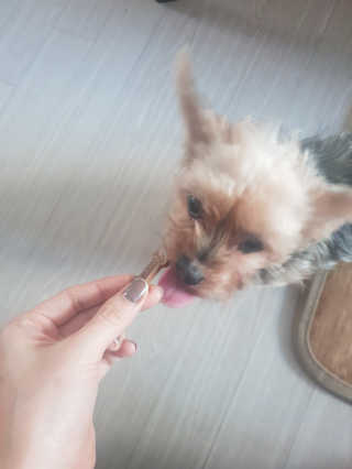 민블리님이 올린 리뷰 사진 2