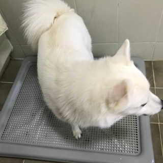 그림비행사님이 올린 리뷰 사진 1