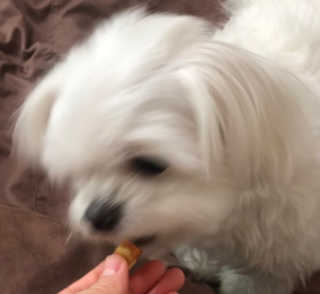 뚱이마미님이 올린 리뷰 사진 3