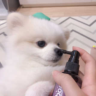 제리톰레나님이 올린 리뷰 사진 4