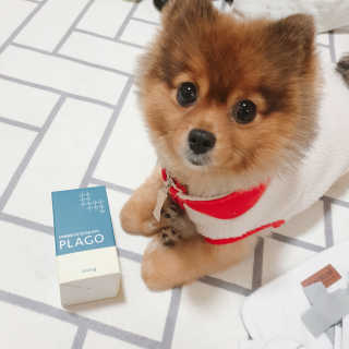 은선이짱님이 올린 리뷰 사진 1