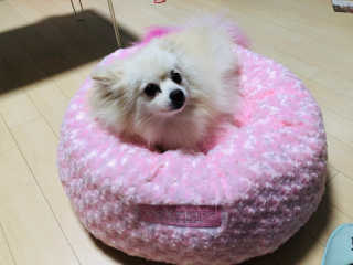 뚜지츄님이 올린 리뷰 사진 1