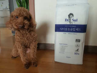 RiaJung님이 올린 리뷰 사진 1