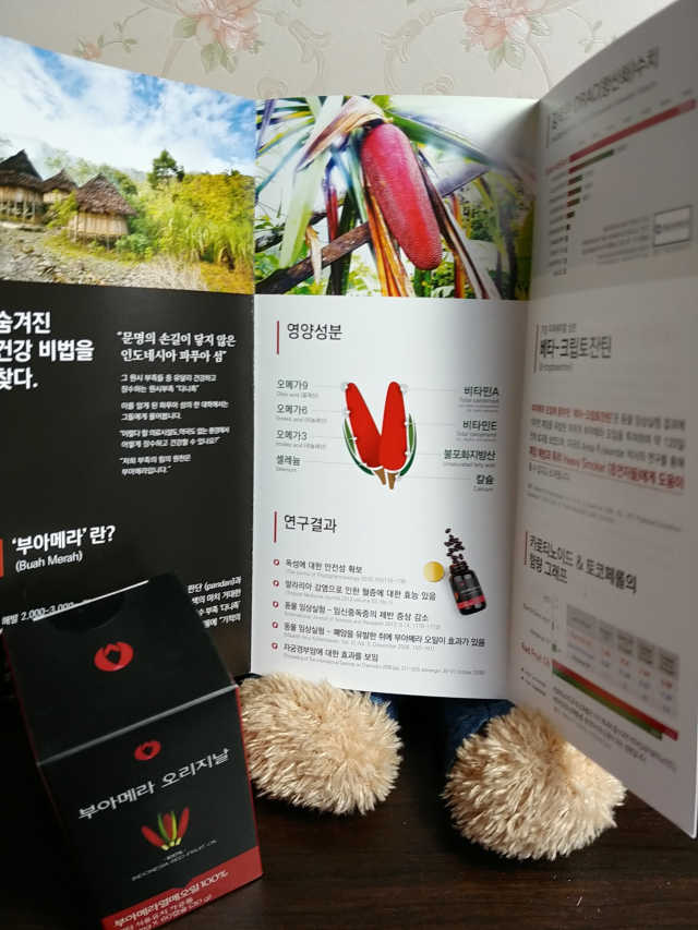 아포텍 부아메라 오리지날 리뷰 사진