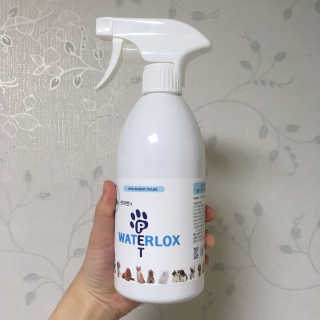 맹이님이 올린 리뷰 사진 3