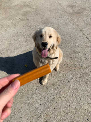 큐티윤님이 올린 리뷰 사진 3