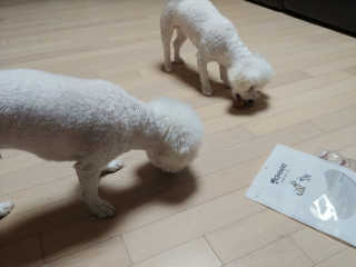 달님님이 올린 리뷰 사진 1