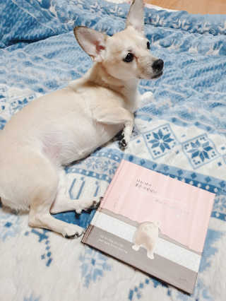 또이o님이 올린 리뷰 사진 1