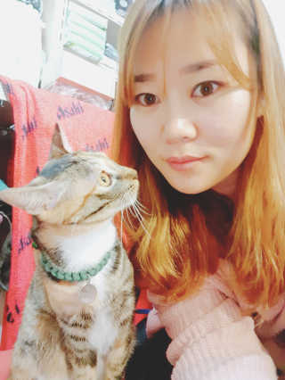 [펫토리아] BEST 고양이두부모래 6L 한삽뚝딱 — 5점을 준 리뷰어가 2019년 1월 올린 사용 사진