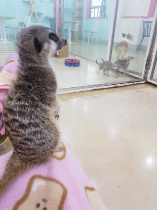 옹알이님이 올린 리뷰 사진 4