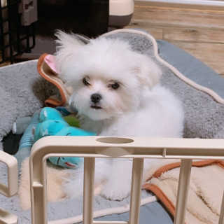 MinKim님이 올린 리뷰 사진 2