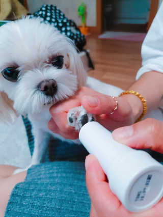 수효니잉님이 올린 리뷰 사진 3