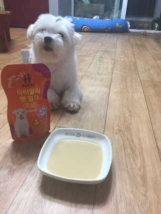 차다차님이 올린 리뷰 사진 4
