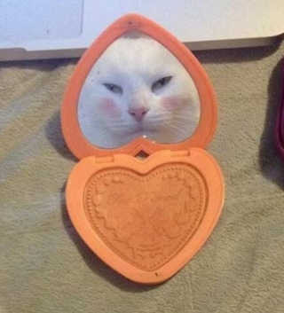 챔미님이 올린 리뷰 사진 3