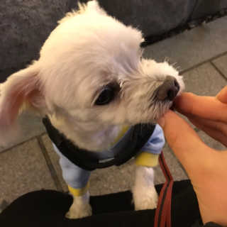 🦄행운의여신유니콩🦄님이 올린 리뷰 사진 1
