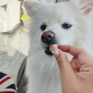 복디누나님이 올린 리뷰 사진 3