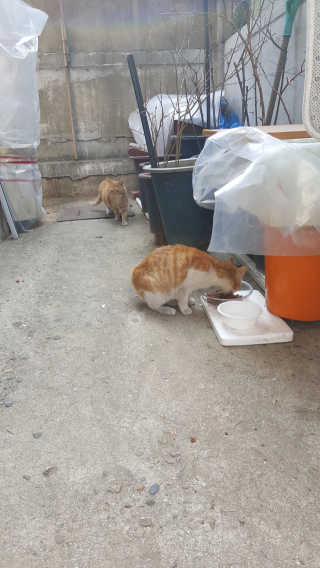 발라당님이 올린 리뷰 사진 3