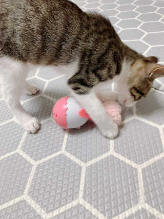 hyoya님이 올린 리뷰 사진 4