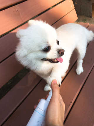 타고난몸매님이 올린 리뷰 사진 3