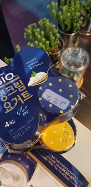 [매일 바이오] 생크림요거트 플레인 12개 + 유자 12개 — 5점을 준 리뷰어가 2019년 6월 올린 사용 사진