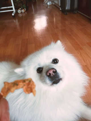 제이님이 올린 리뷰 사진 2