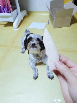 가횽님이 올린 리뷰 사진 2