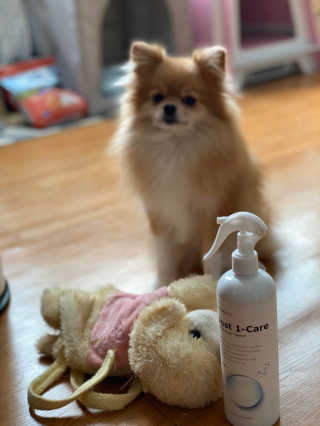 눕히님이 올린 리뷰 사진 1