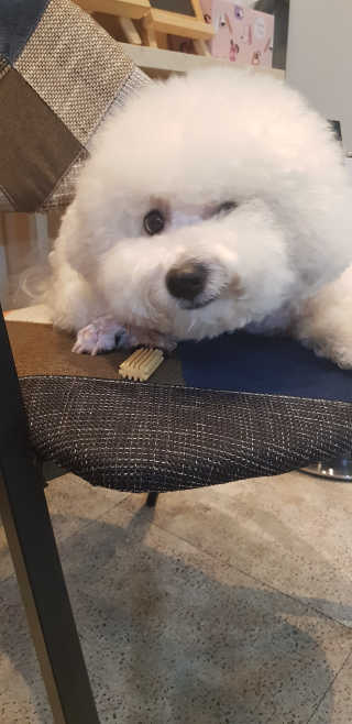 쏭님이 올린 리뷰 사진 4