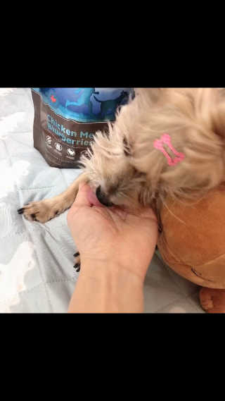 04mini04님이 올린 리뷰 사진 3