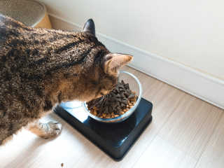 JeongDaHui님이 올린 리뷰 사진 4