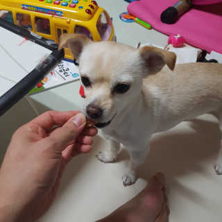 EricOh님이 올린 리뷰 사진 3