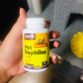 재로우 제로우 펫 도필러스 반려동물 유산균 영양제 70.5g — 4점을 준 리뷰어가 2018년 8월 올린 사용 사진