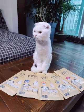 [펫토리아]짜먹는 한입뚝딱 강아지.고양이 마약간식 — 5점을 준 리뷰어가 2019년 8월 올린 사용 사진