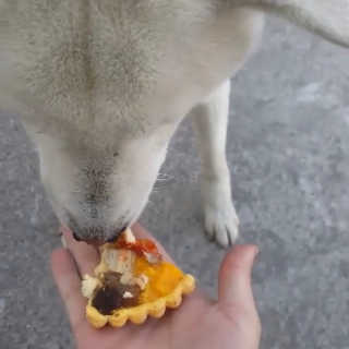 후후님이 올린 리뷰 사진 3
