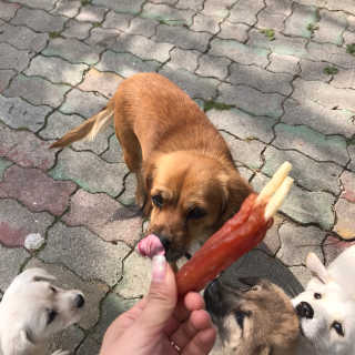 리기님이 올린 리뷰 사진 3