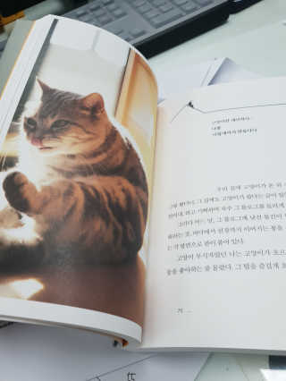 YEONINI❣건율맘님이 올린 리뷰 사진 2