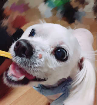 HyunAYoun님이 올린 리뷰 사진 2