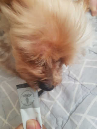 고으니님이 올린 리뷰 사진 4