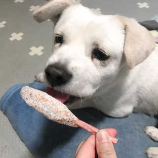 순심이님이 올린 리뷰 사진 3