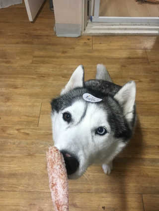 김지애님이 올린 리뷰 사진 1