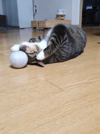 오드리고딩님이 올린 리뷰 사진 3