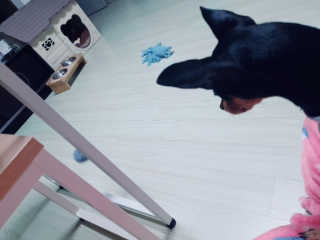 도도님이 올린 리뷰 사진 1